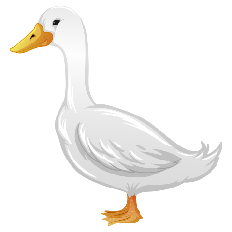 Г5 дахь зургийг идэвхжүүлээрэй.