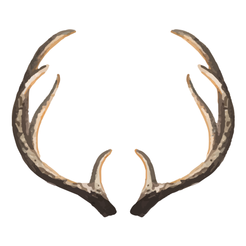 Д1 дахь зургийг идэвхжүүлээрэй.