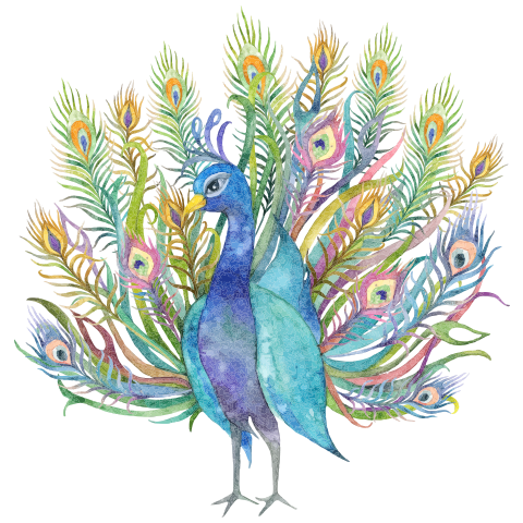 Д1 дахь зургийг идэвхжүүлээрэй.